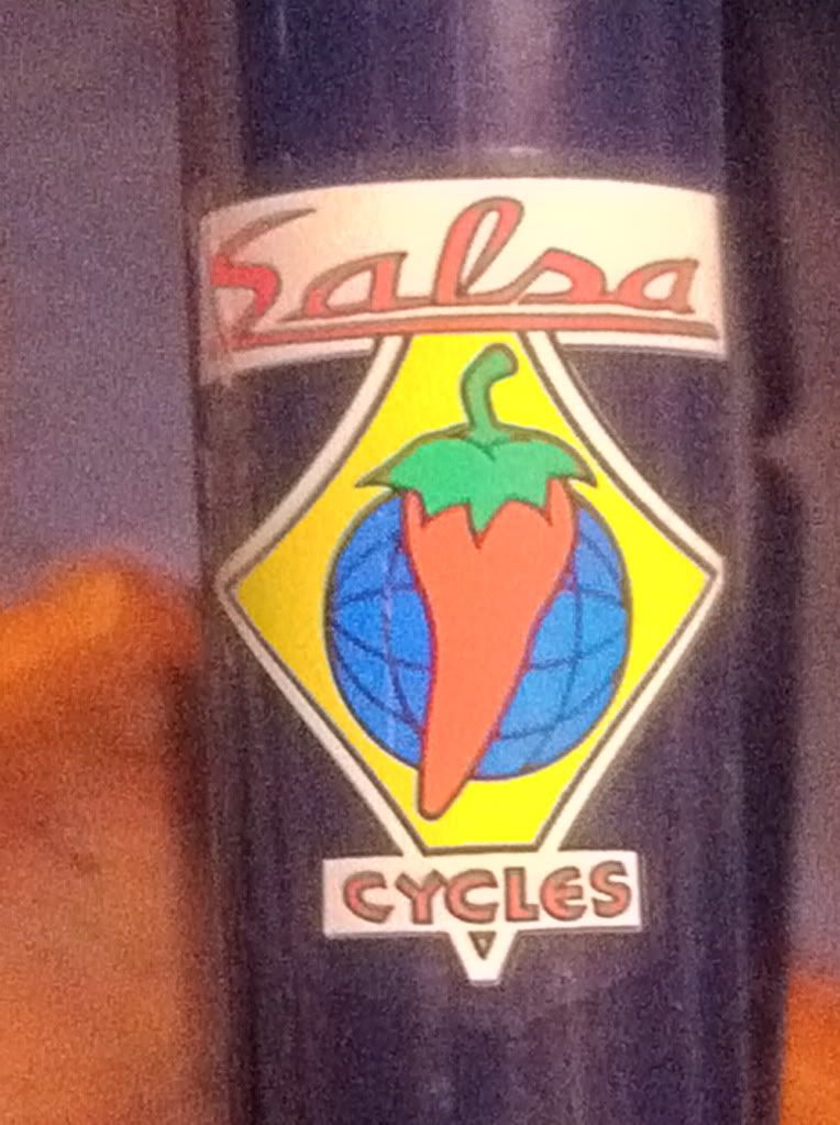 salsa bike decals