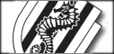 cesena.png