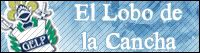 ellobo.jpg