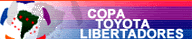 libertadores.gif