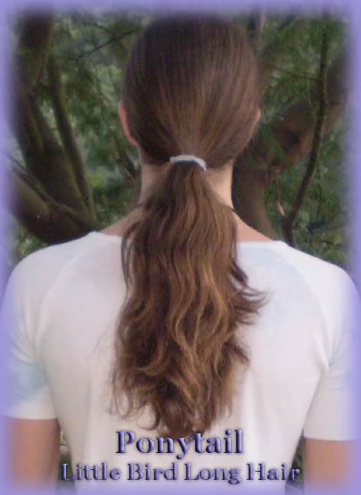 Men Long hairstyles Guide: bun, braids, ponytail pictures
