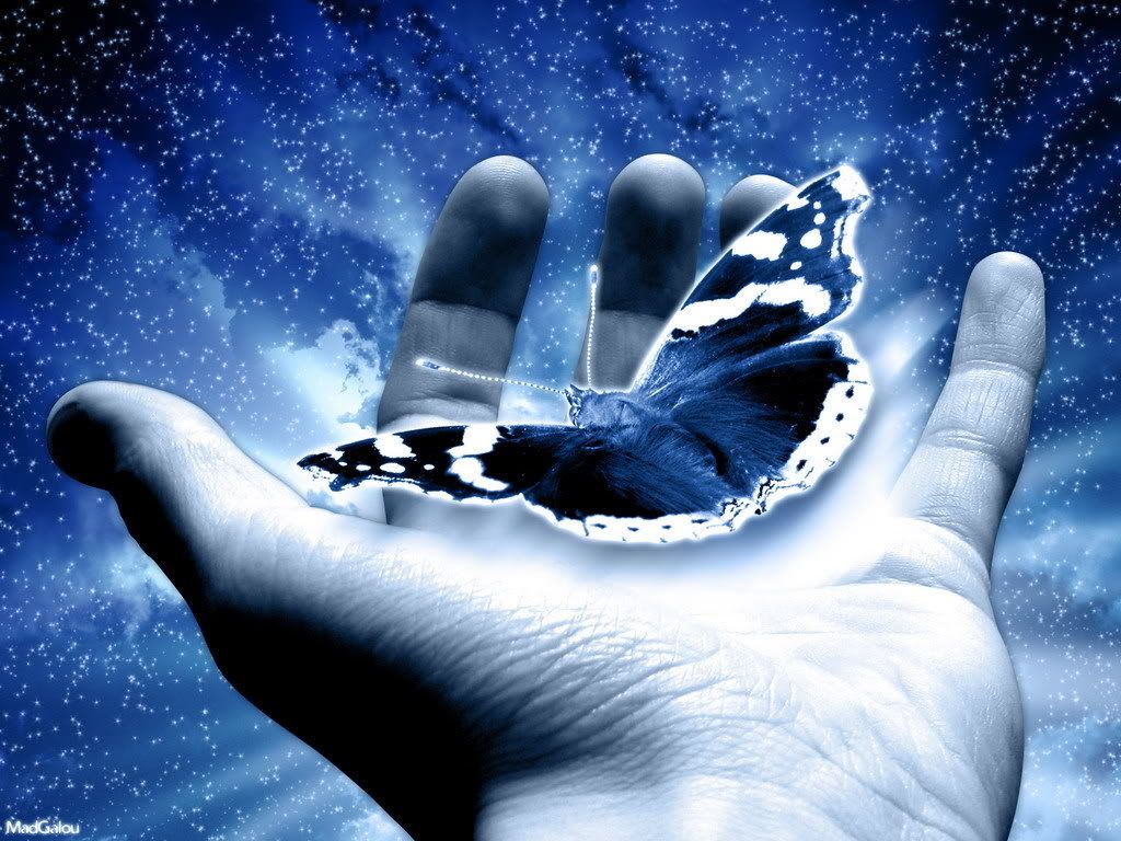 butterflytakeoffec0rk4.jpg