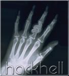 hackhell-avatar-8.jpg