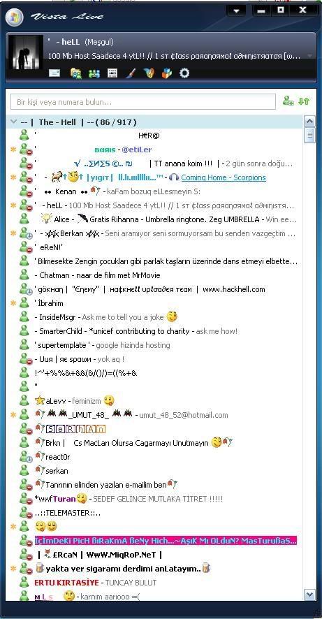 hll-msn.jpg