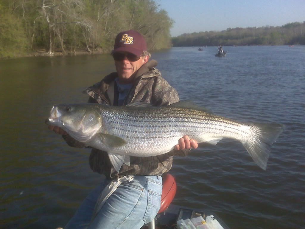 http://i207.photobucket.com/albums/bb119/cokeempire/39inch22lb.jpg