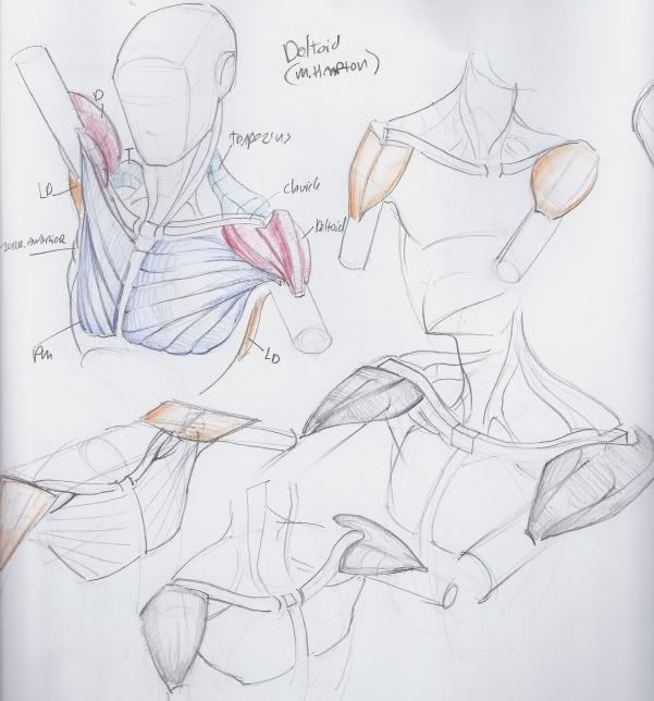 Spartan Camp #209 - 50 gestures + Optional "Objects in Perspective Study" Spartan Camp #209 - 50 gestures + Optional "Objects in Perspective Study"