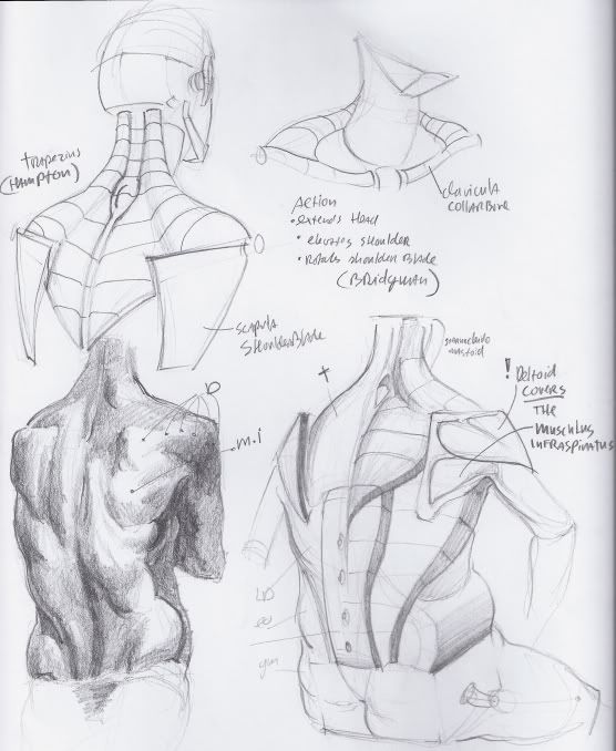 Anthis' Sketchplace! studiescreaturescharactersspeeds and stuff Anthis' Sketchplace! studiescreaturescharactersspeeds and stuff