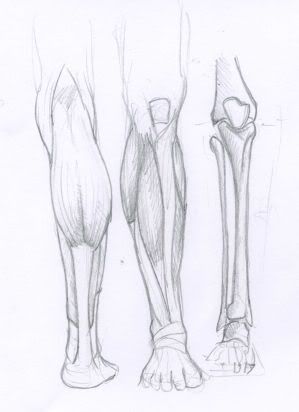 Spartan Camp #17 - 50 gestures + Optional Study of the lower leg Spartan Camp #17 - 50 gestures + Optional Study of the lower leg