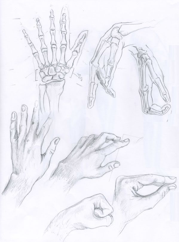 Spartan Training Camp #10 - Gestures plus optional hand study Spartan Training Camp #10 - Gestures plus optional hand study