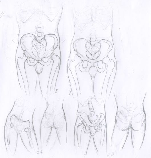 Spartan Camp #15 - 50 gestures + Optional Study of Spartan Camp #15 - 50 gestures + Optional Study of