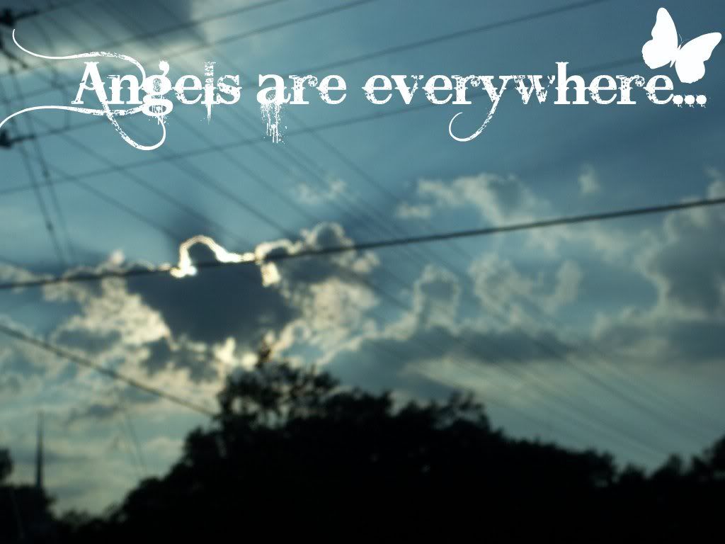 angels-7.jpg image by Tangledup129
