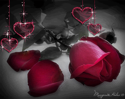 hearts and roses and doves photo: red roses and hearts 001c051Jk1p.gif