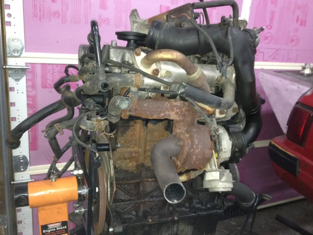 2000 ALH TDI Engine with 11mm pump 270k miles Forums