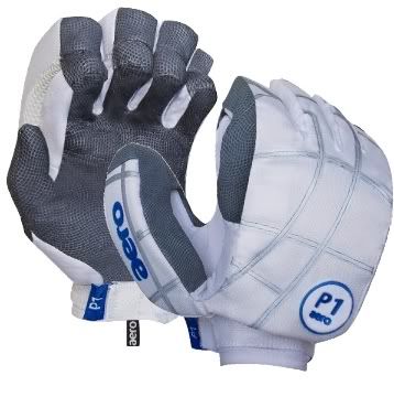 PairofGloves.jpg