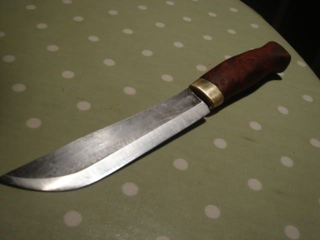 amboyna003.jpg