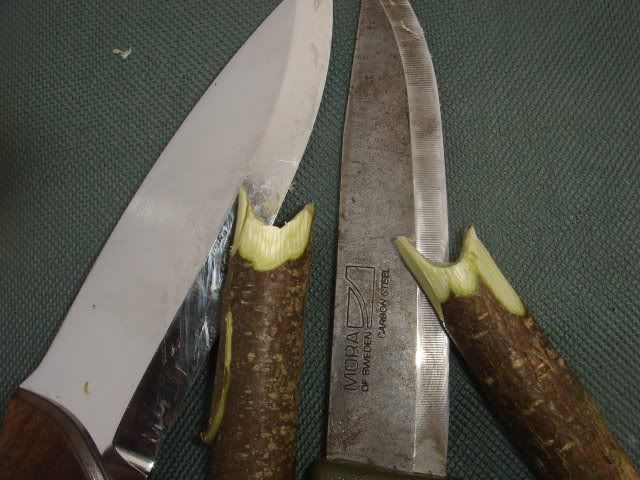 woodlorevsclipper006.jpg