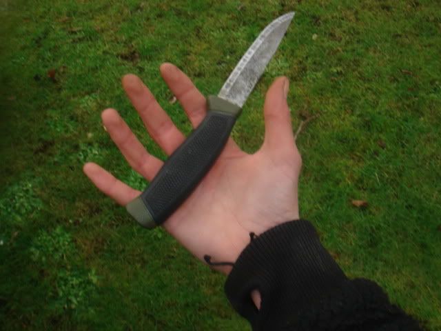 woodlorevsclipper007.jpg