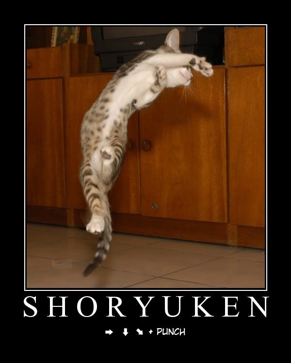 IMAGE: http://i207.photobucket.com/albums/bb16/isshin329/Shoryuken.jpg