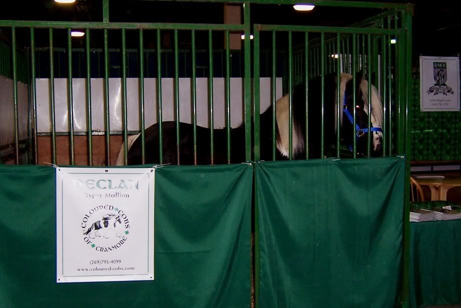 Msu Stallion Expo