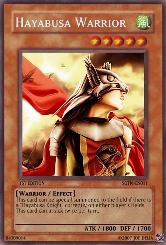 HayabusaWarrior-1.jpg