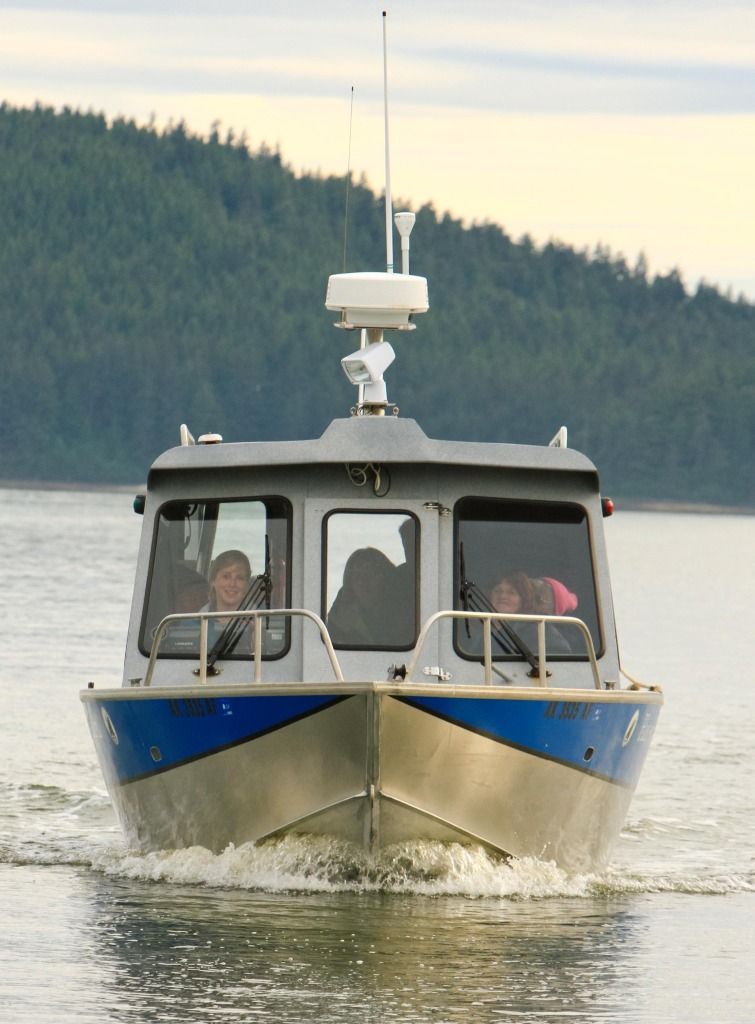 Cruise Critic Best Alaska Shore Excursions