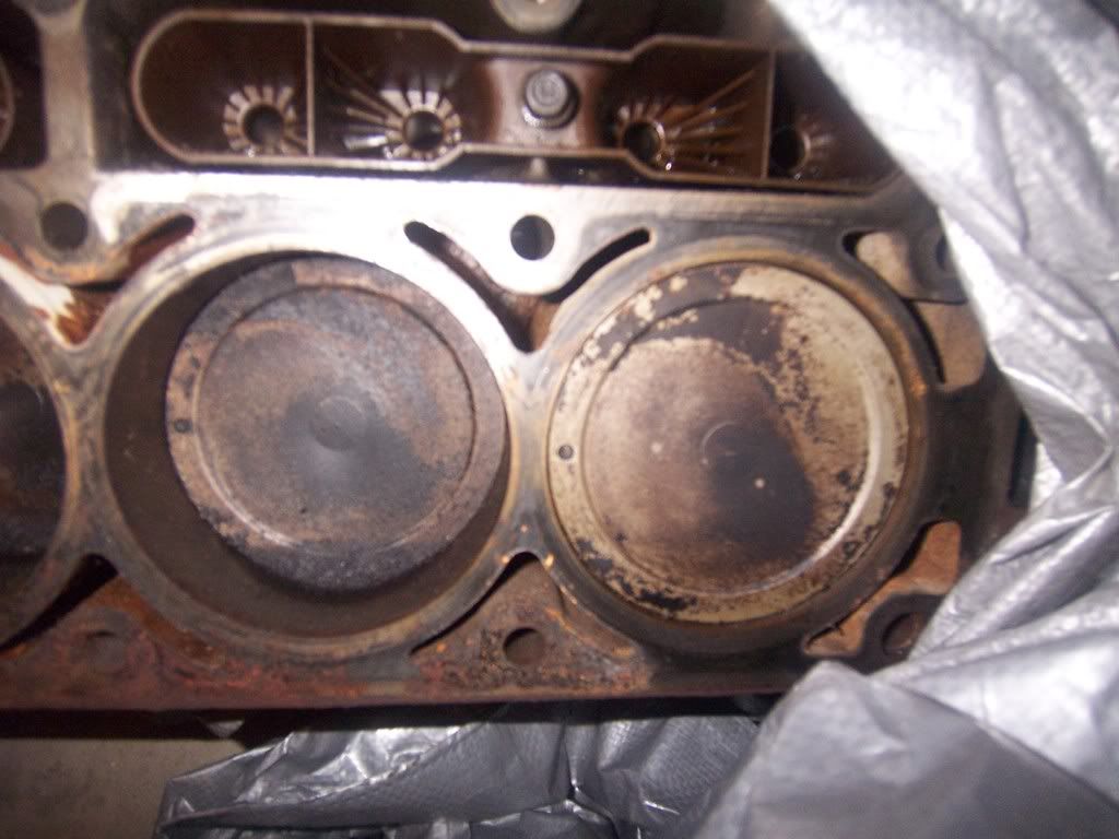 LQ4pistons.jpg?t=1238001752