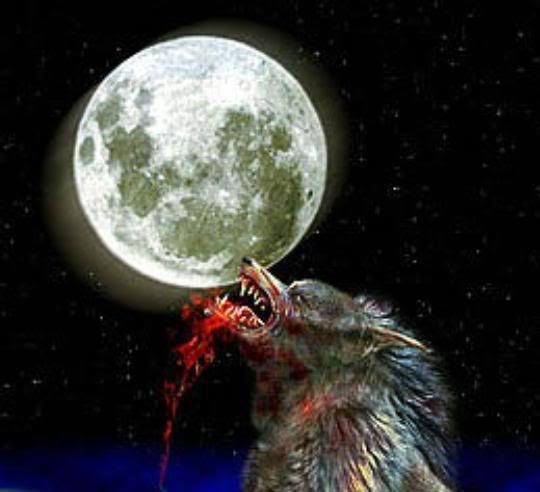 werewolf.jpg howl at the moon image by stripes420