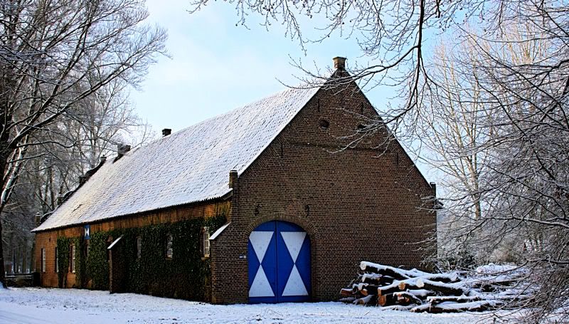 Fotografie