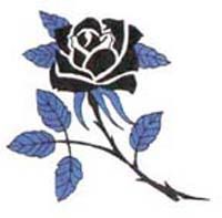black_rose_tattoo