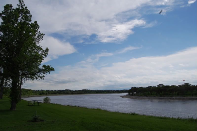 DSC_0163.jpg