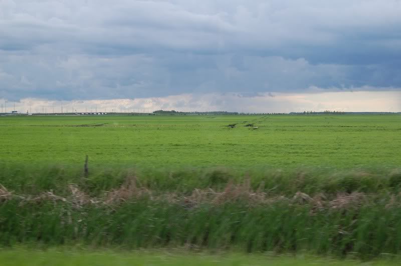 DSC_0302.jpg