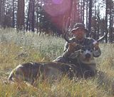 th_Kaibab_Buck013.jpg