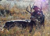 th_Kaibab_Buck019.jpg