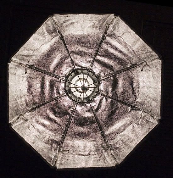 IMAGE: http://i207.photobucket.com/albums/bb212/epatt250/tests/IMG_4806_3251.jpg