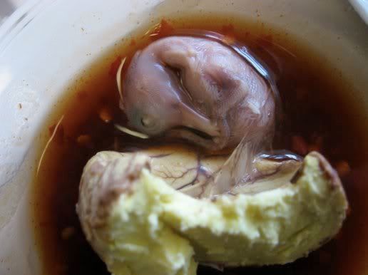 eat fetus