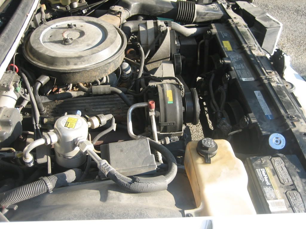 Overheating, electric fans, and what is this gizmo?