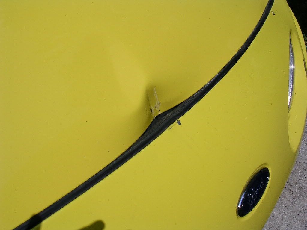 PC7424054.jpg