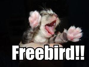 Freebird photo: freebird! freebird_mini.jpg