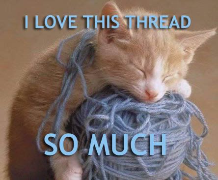 funny_cat_pictures_23.jpg awwwzzz! its so cute! image by sango_the_demon_slayer_loves_sesshomaru