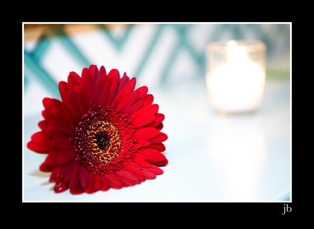 IMAGE: http://i207.photobucket.com/albums/bb239/joshbehan/IMG_9456.jpg