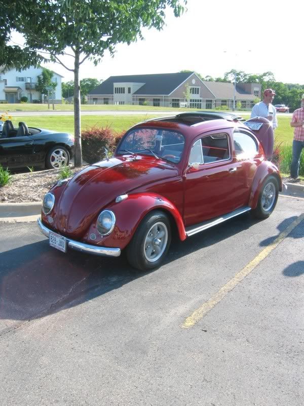 Beetle4x3.jpg