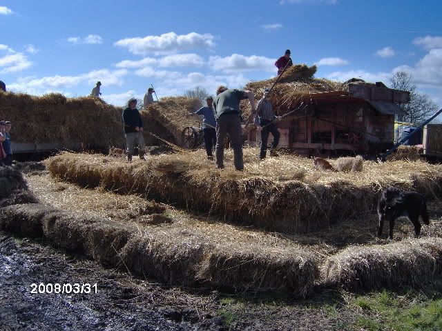 Picture004.jpg