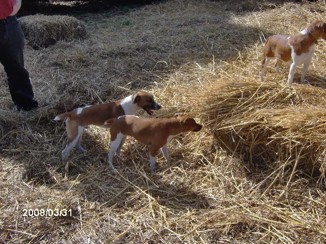 Picture008.jpg