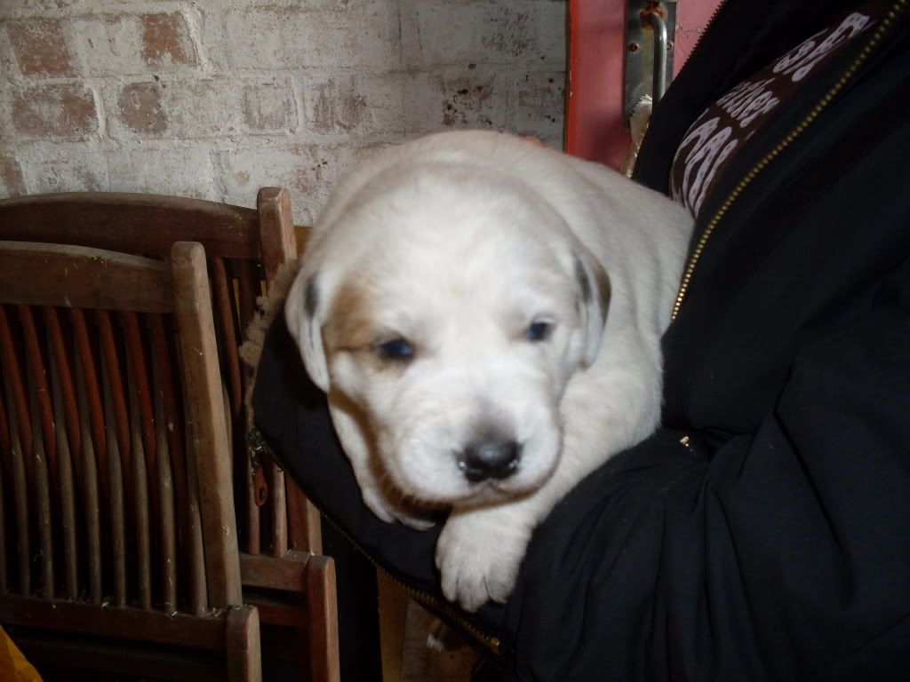 Picture112.jpg