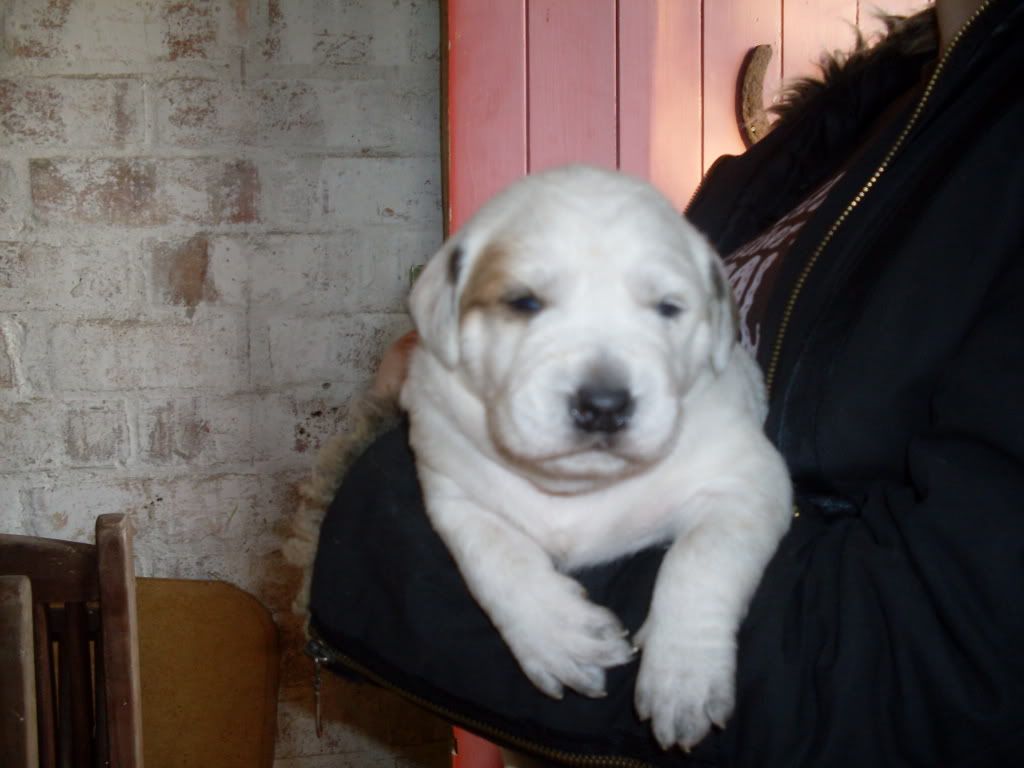 Picture113.jpg