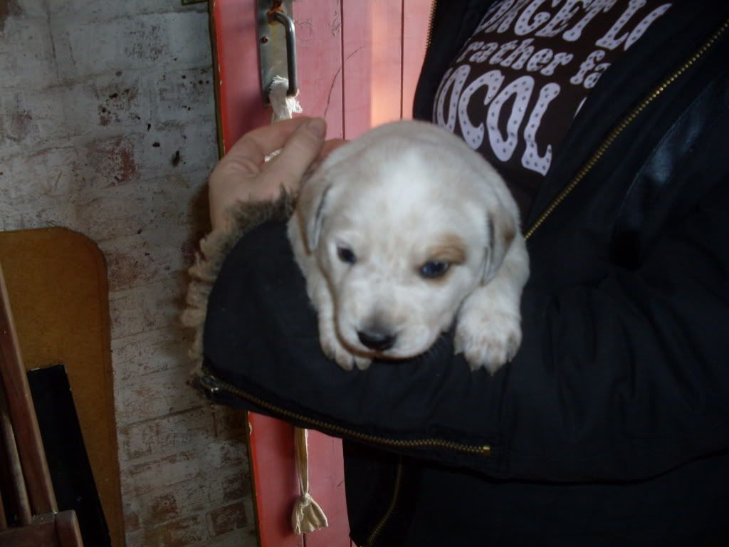 Picture114.jpg