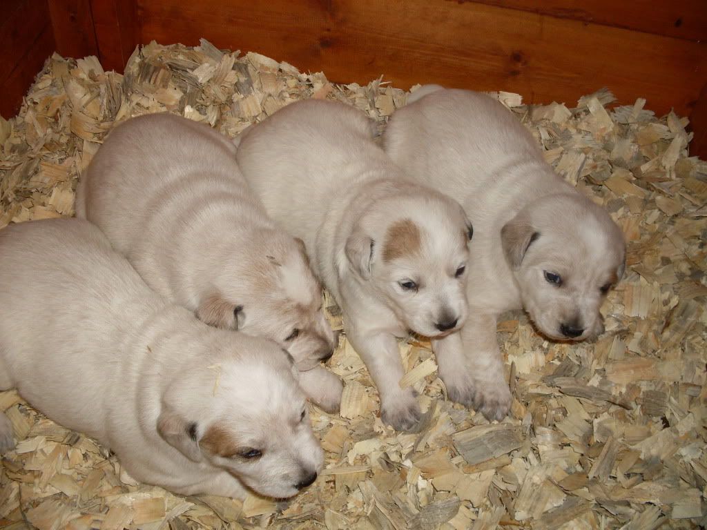 Picture116.jpg