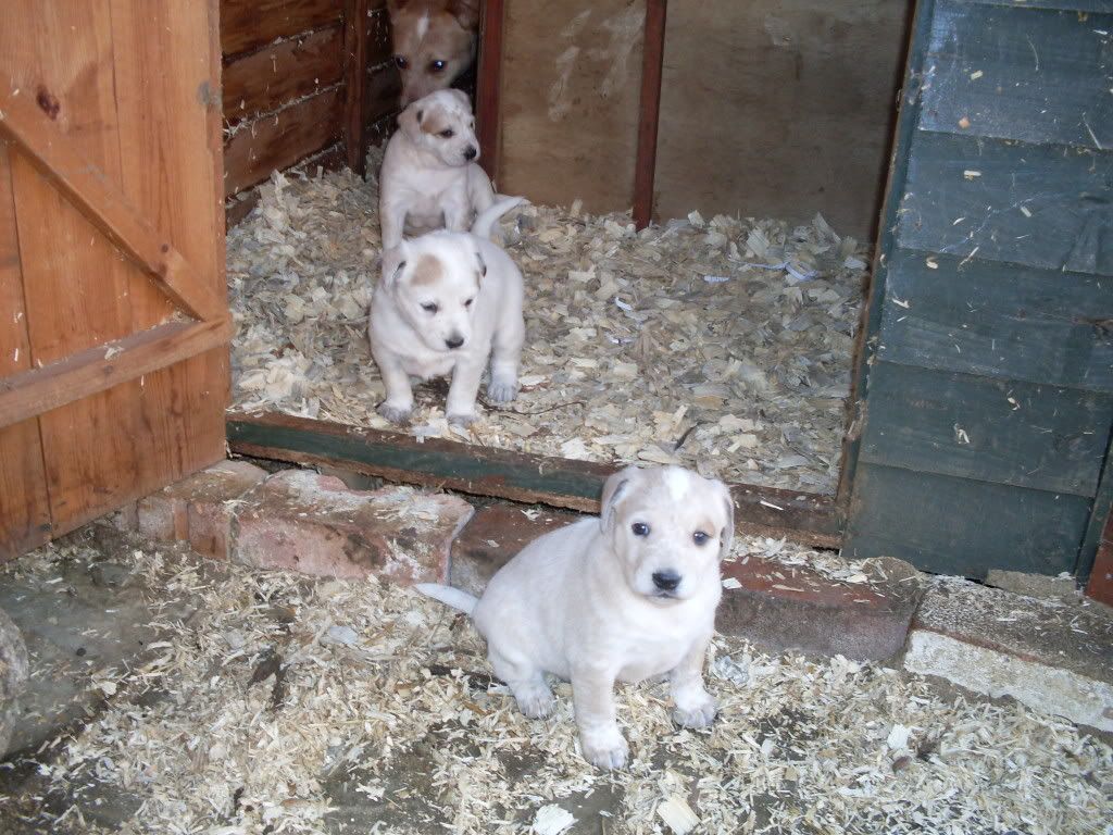 Picture133.jpg