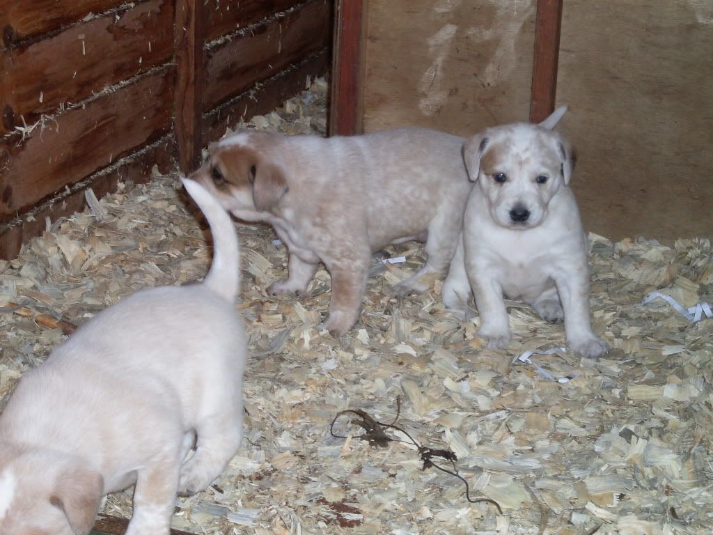 Picture134.jpg