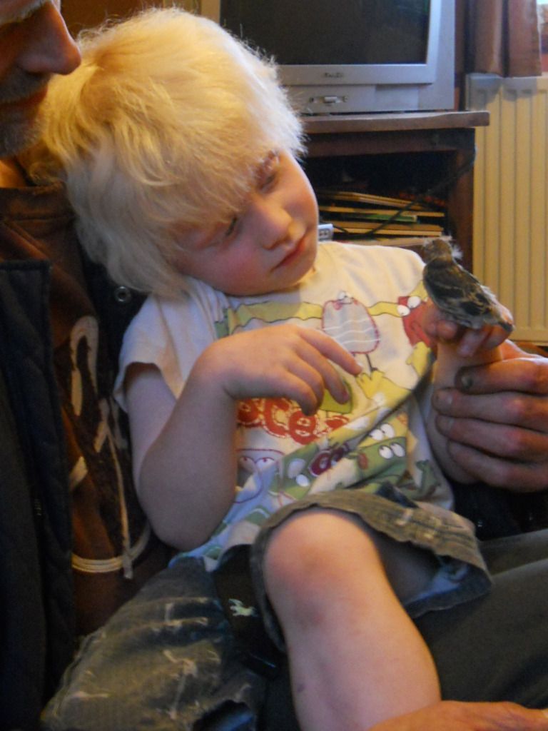 Picture231.jpg